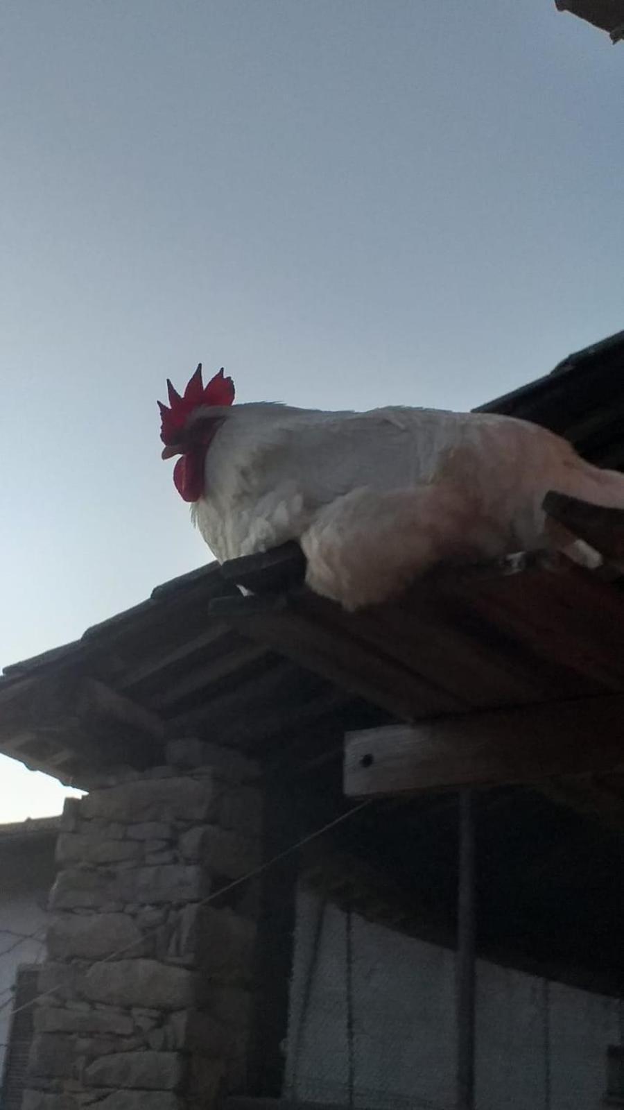 Agriturismo Cascina Knec Feisoglio Esterno foto